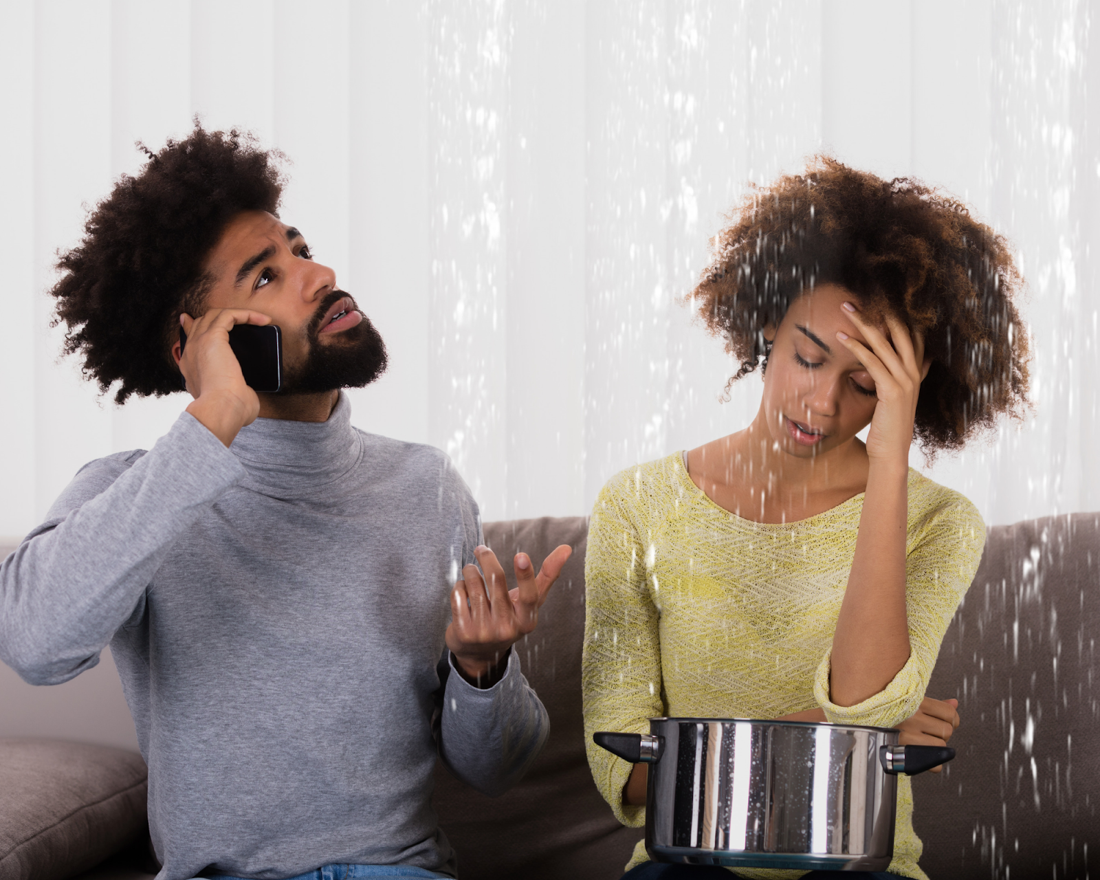 Which Problems Are Sellers Required to Disclose Before a Sale?